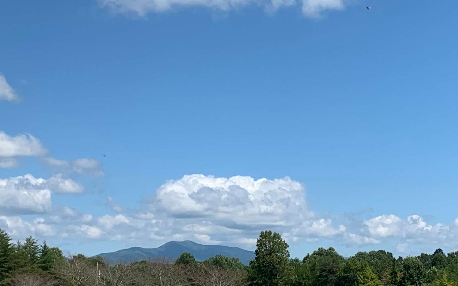 69 Hwy 64 W, Hayesville, NC 28904